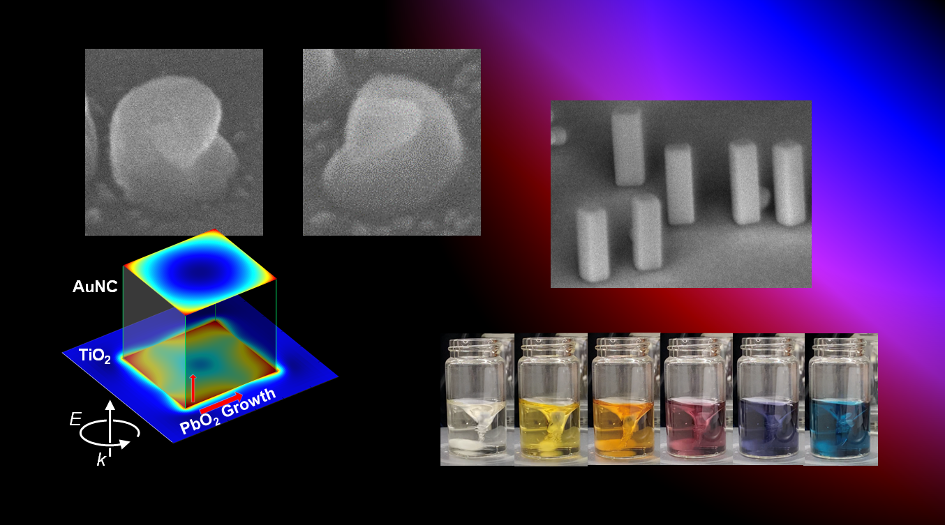 ナノ材料の多彩な光機能