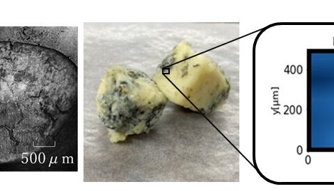 含水材料中の水分子の動態を視る