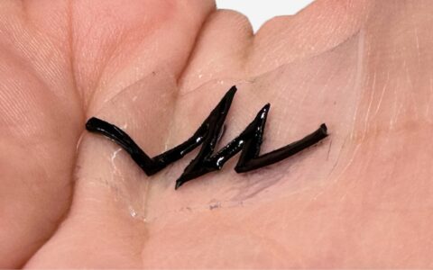 Stretchable Electronics